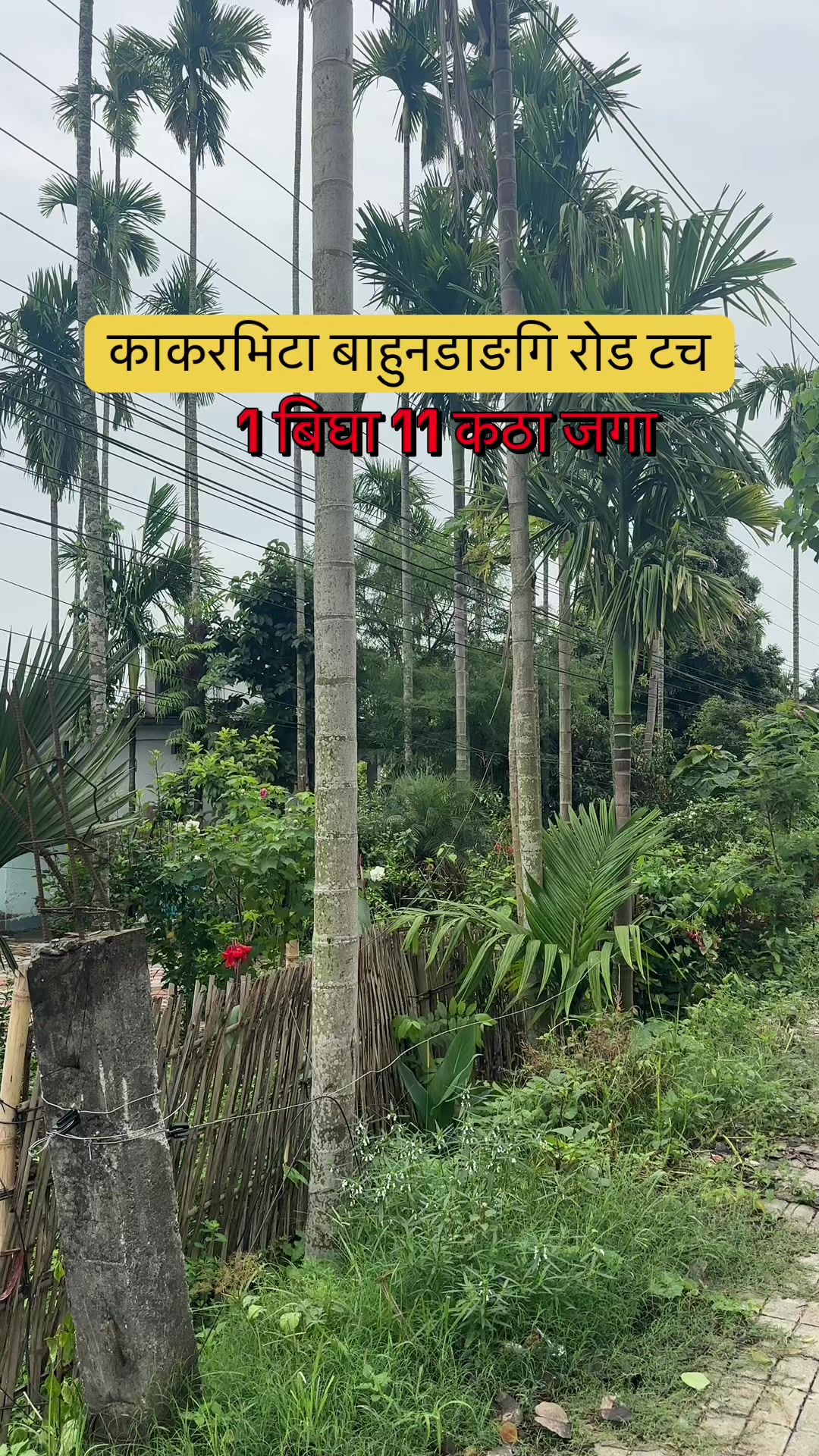 @Maikal ghar jagga