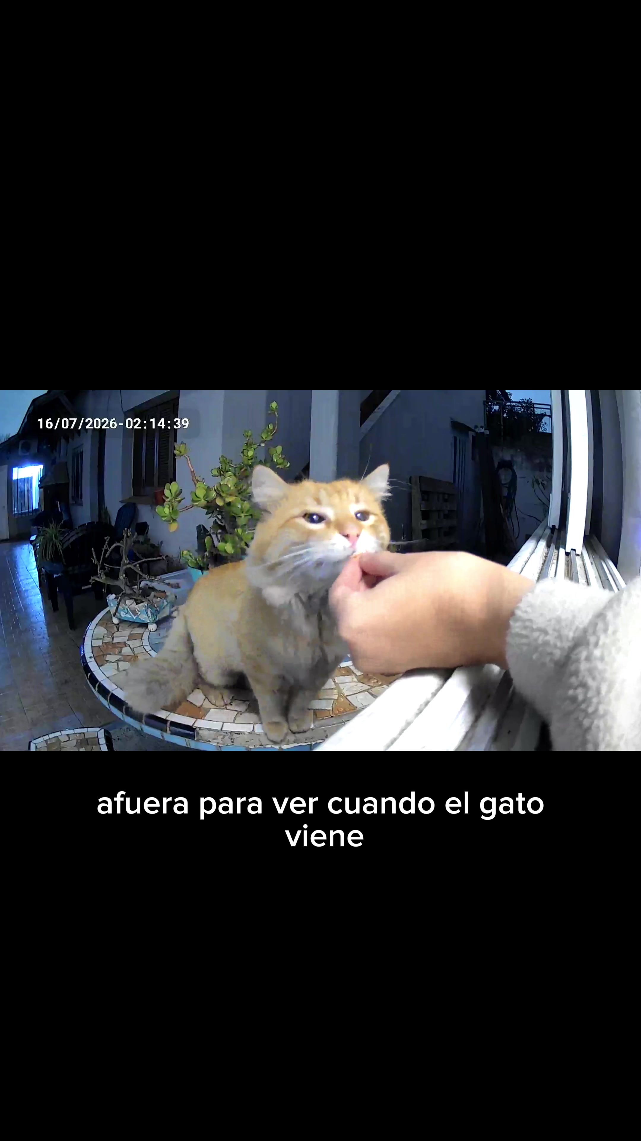 @Lucia Serenaa