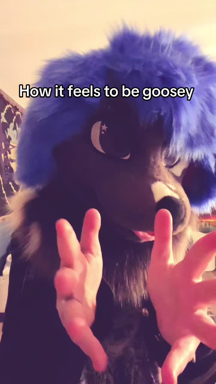 @HENRY GOOSE