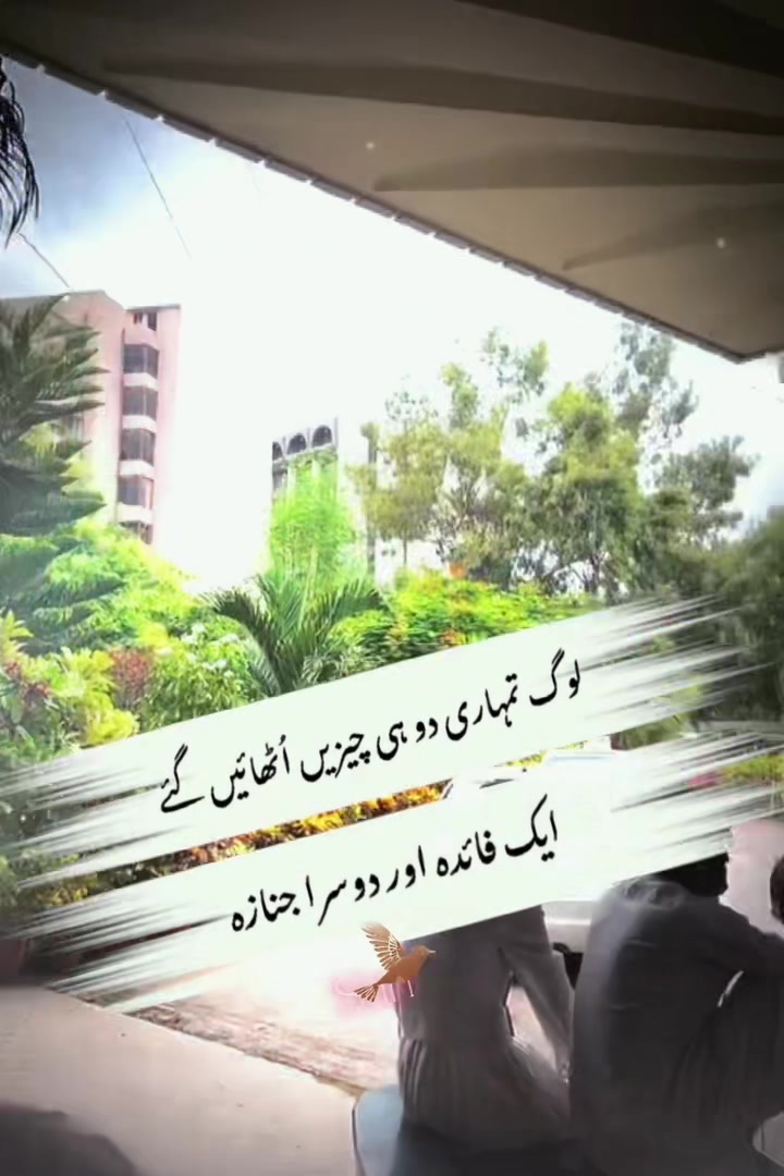 @sanaashraf004