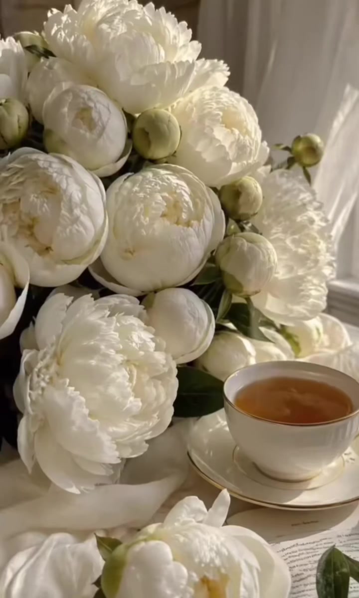 @🇰🇿🌺🌸Нᴀᴛᴀᴧья🌸Kz.16_ukg👋🤝