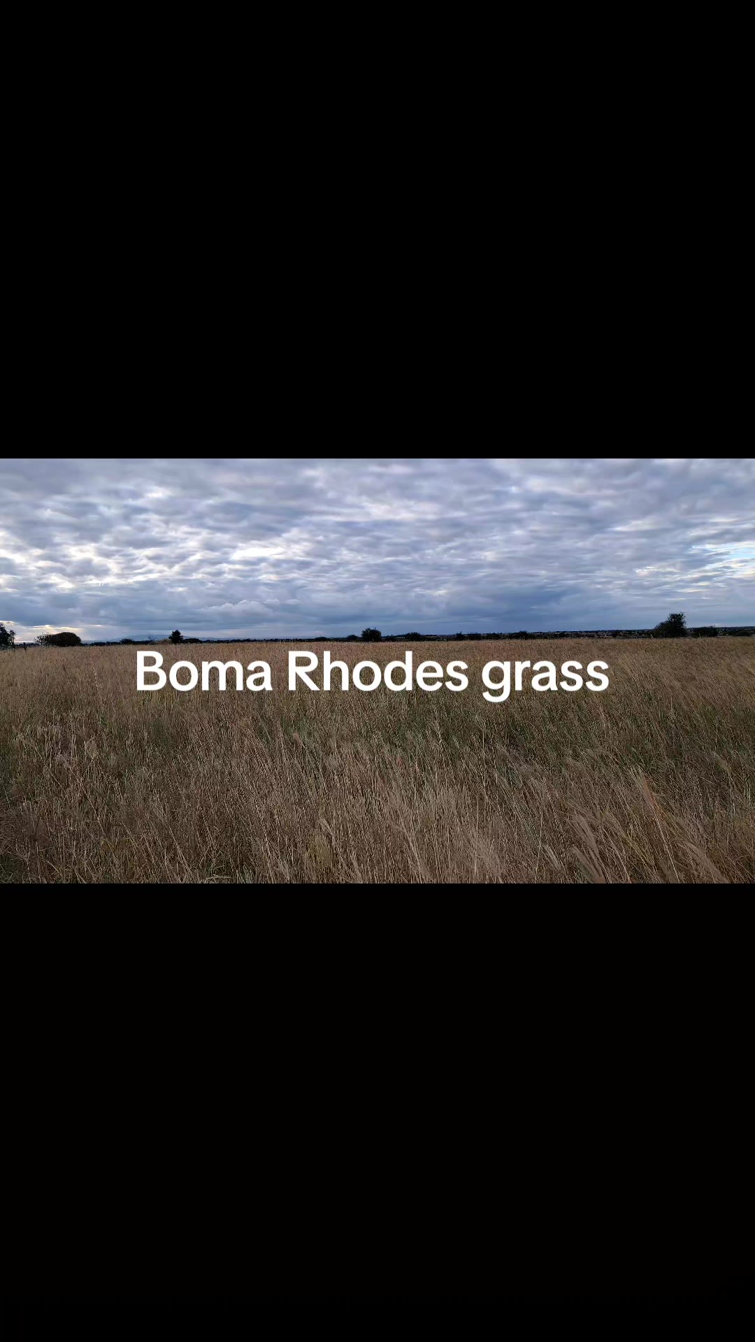 @DorperfarmsKE