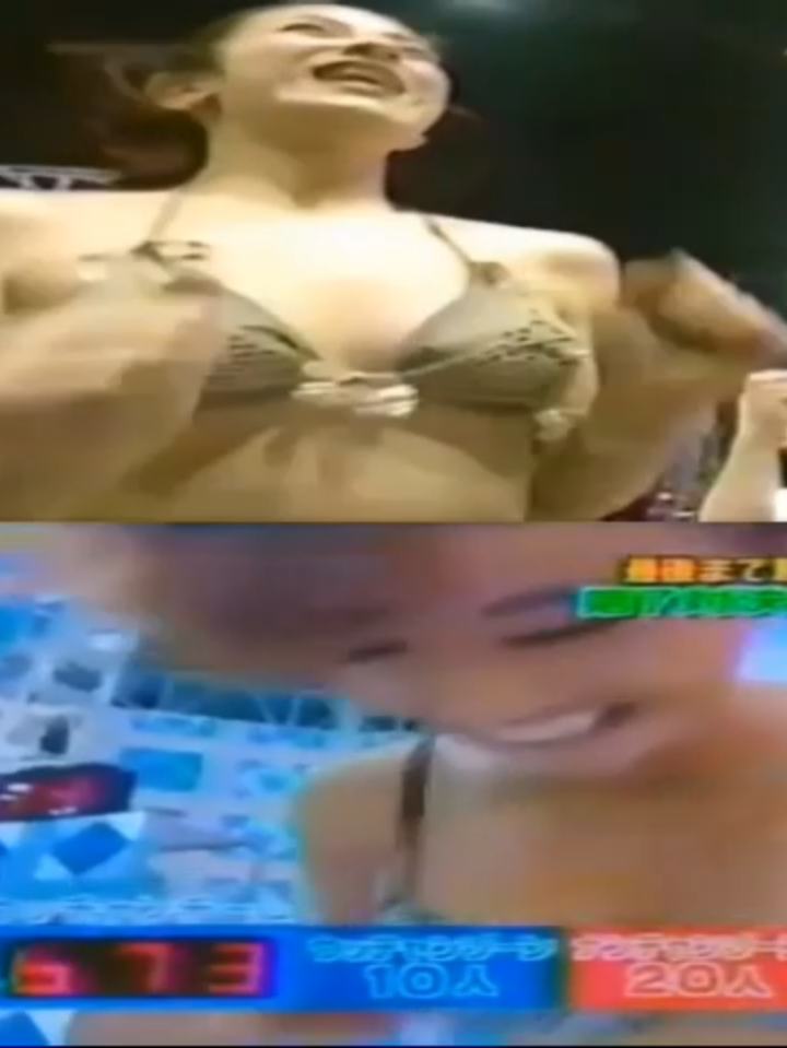 @青眼の茶狐
