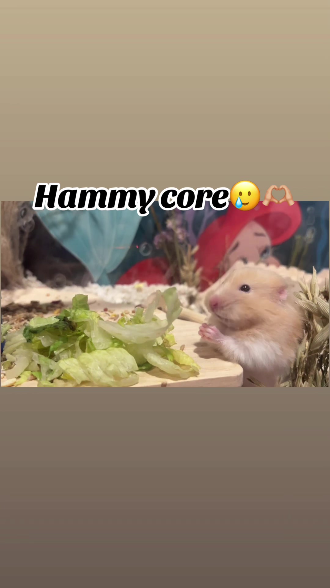 @🤍🧡Bry.bry.MainPage🧡🤍