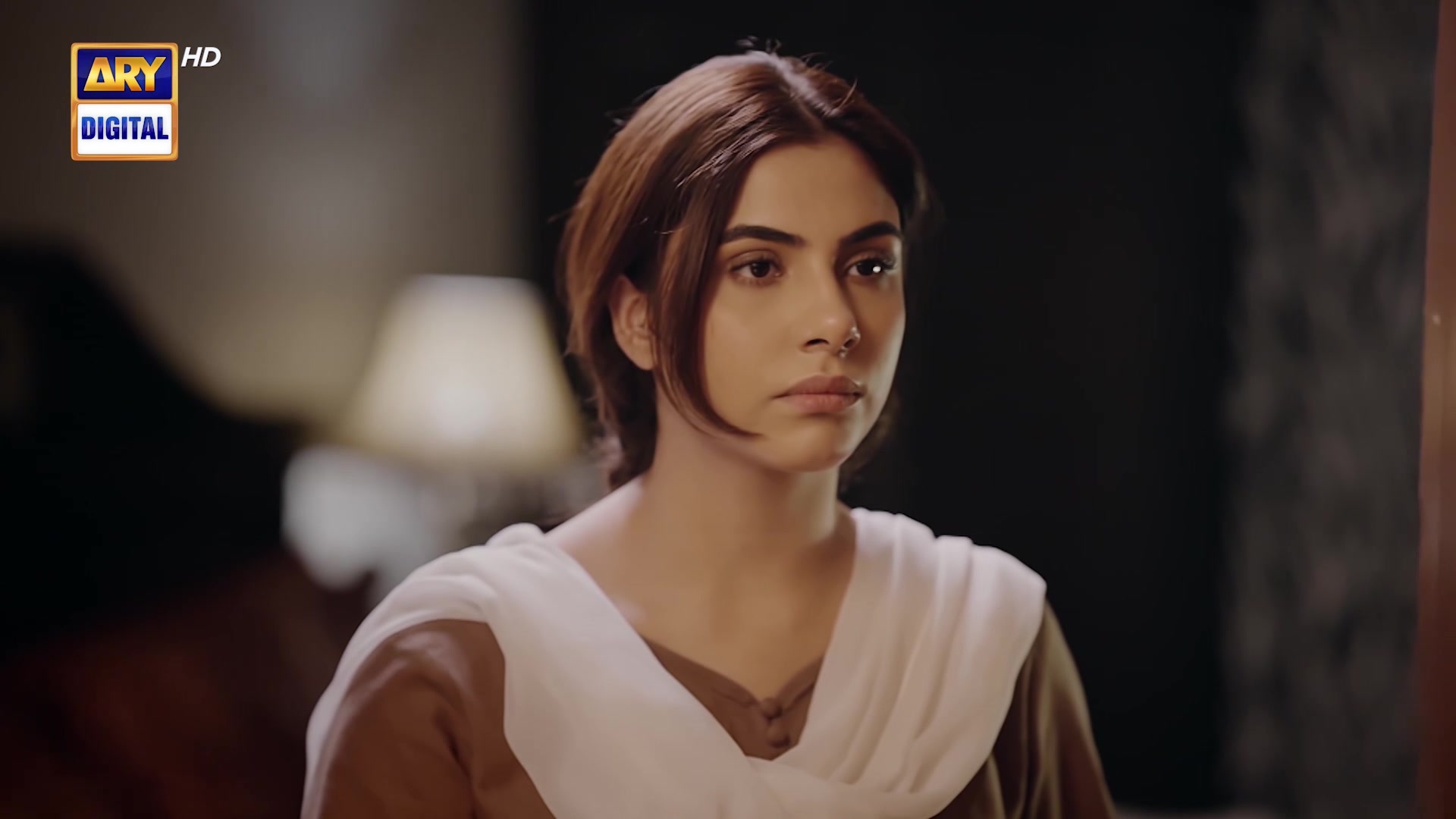 @ARY DIGITAL
