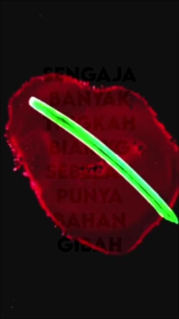 @Ratu Hokky 🫅
