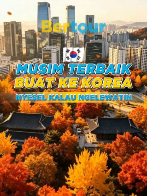 @bertourandtravel