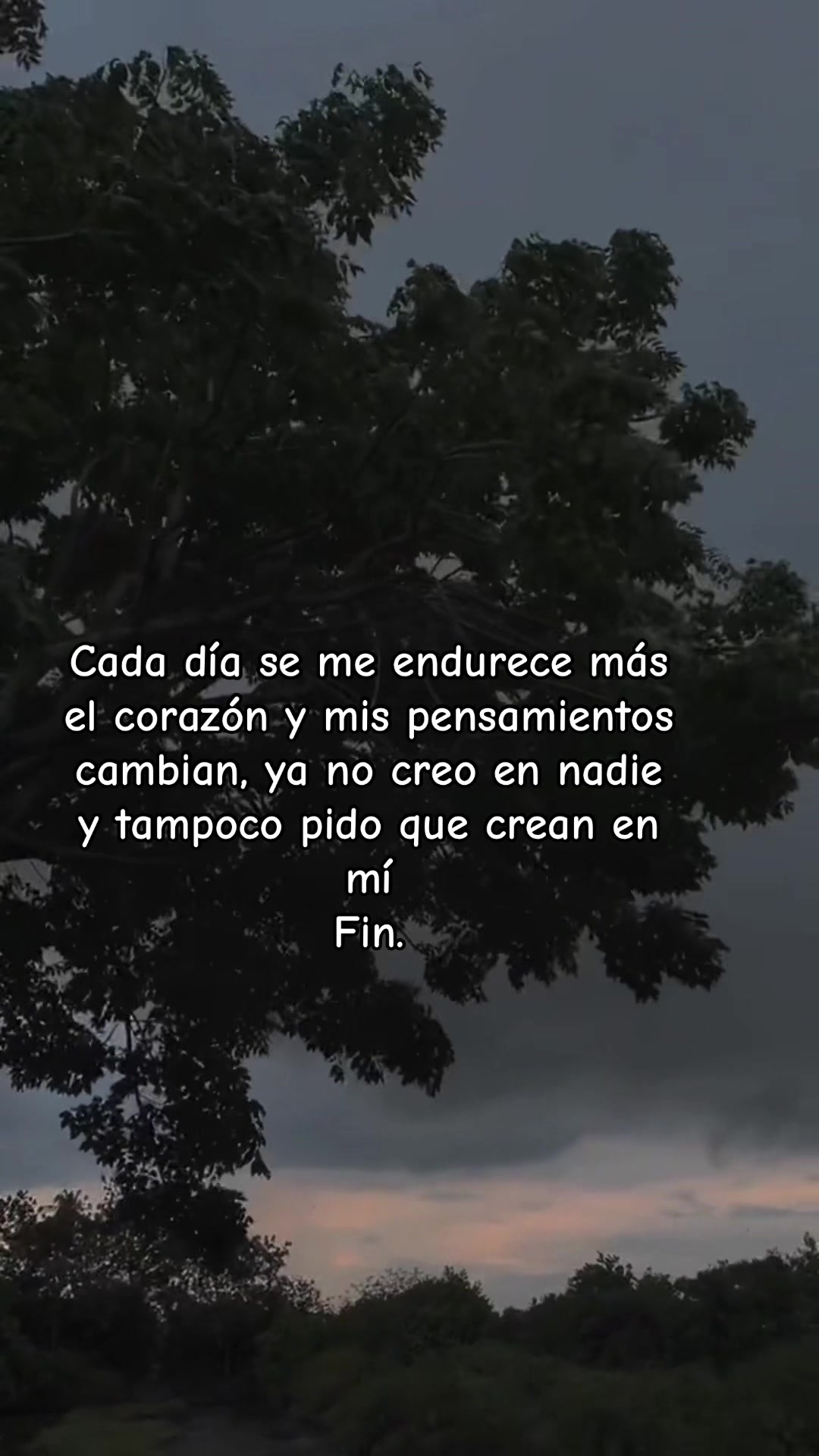 @Luz Calderón