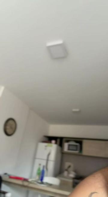 @igcamilaprieto