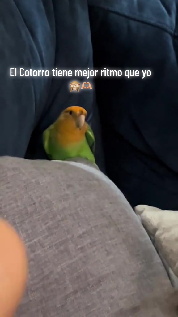 @lulys 💞🥰