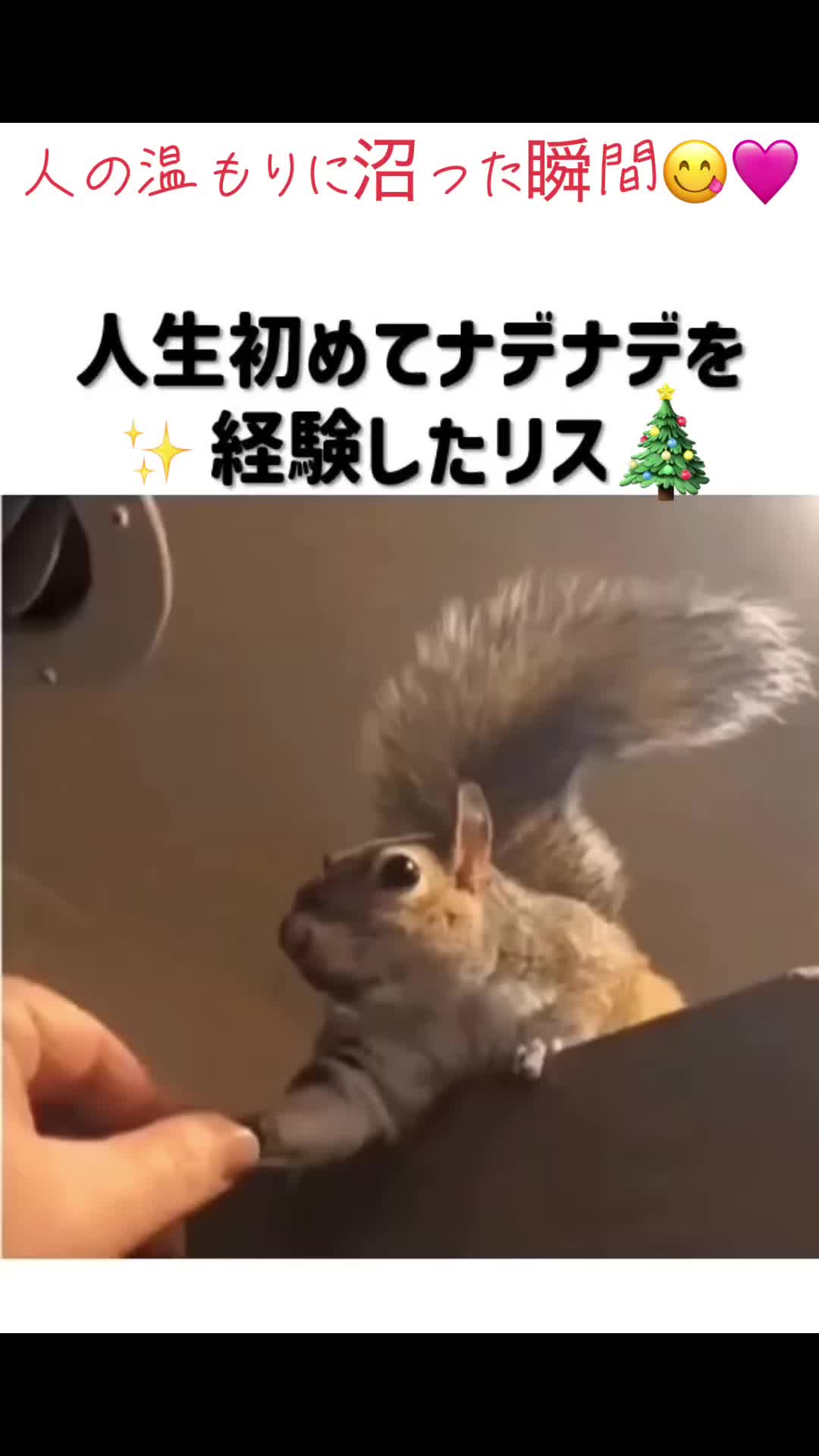 @kurepin0888