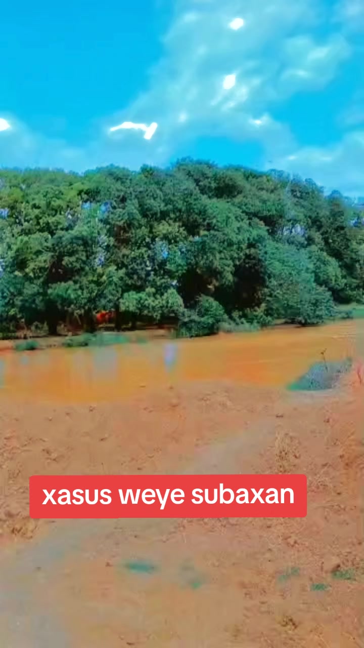 @maxaad__wali87