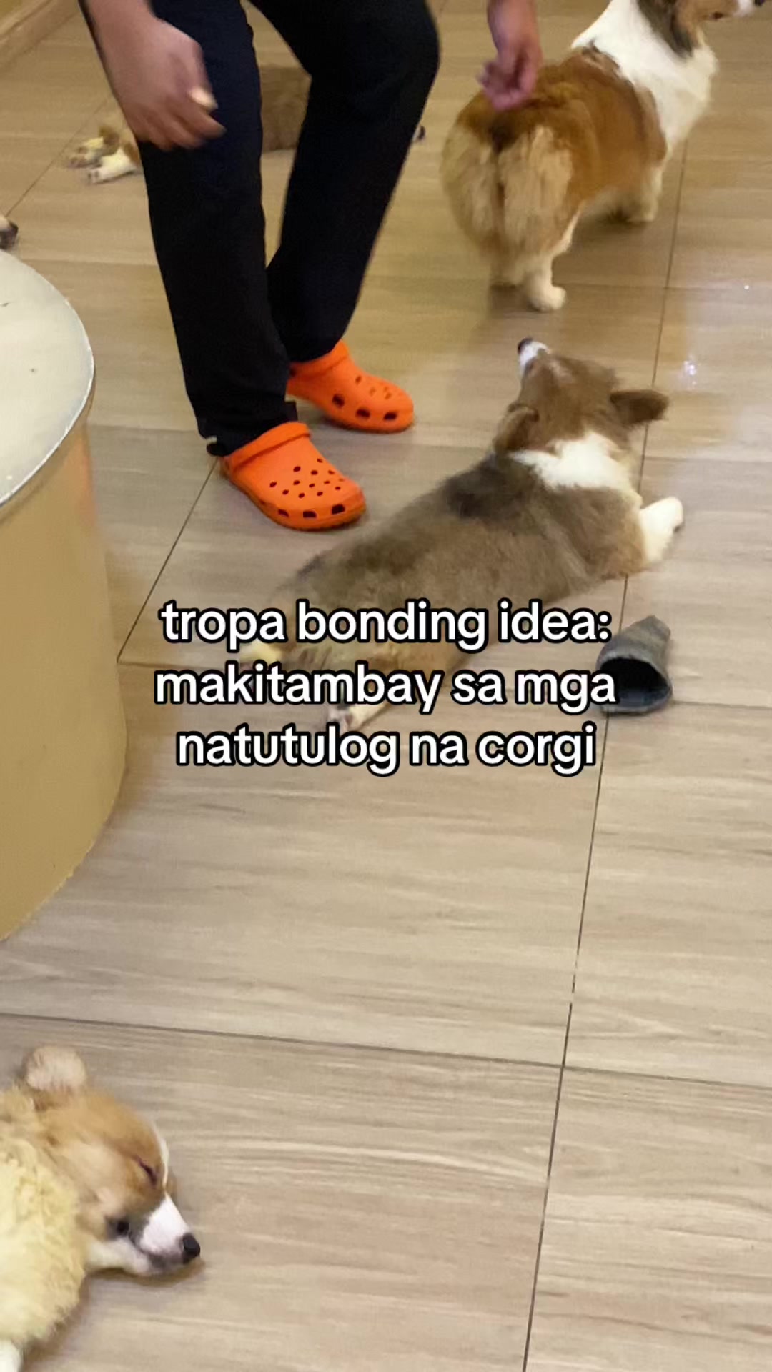 @amping