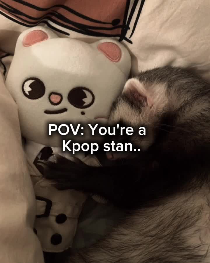 @Numberone_SKZFAN♡