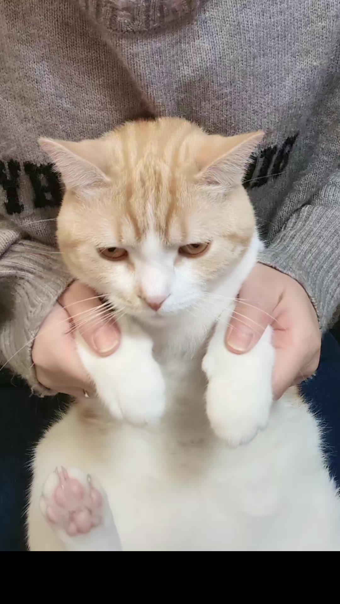 @ãããœãð¥âïž