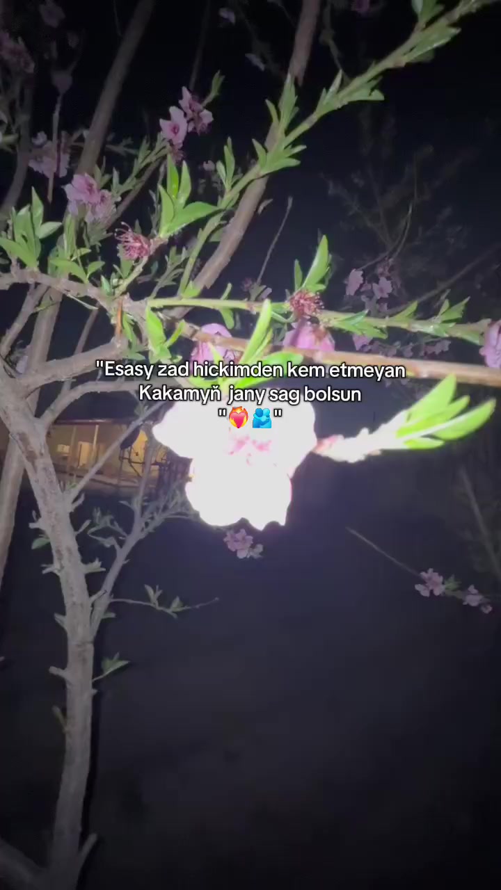 @๐๐ท๐ฎ๐ณ๐ช๐ท.๐