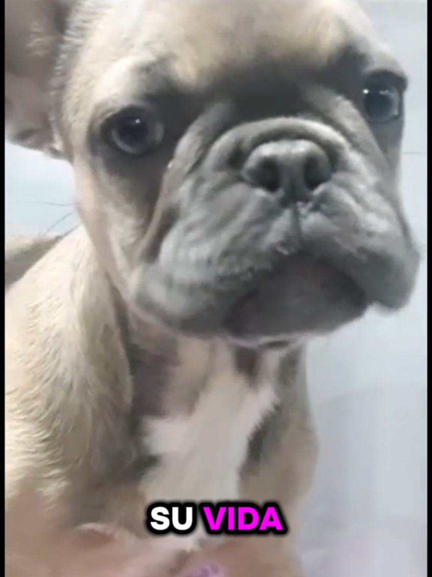@Clínica la Vet Oriente