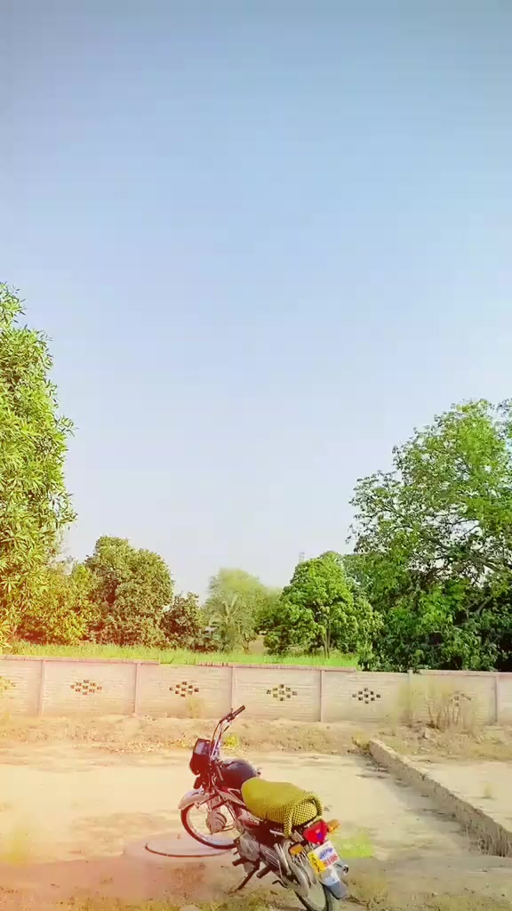 @tofeeqkhanpury