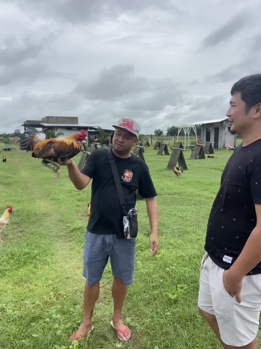@bochzhog gamefarm