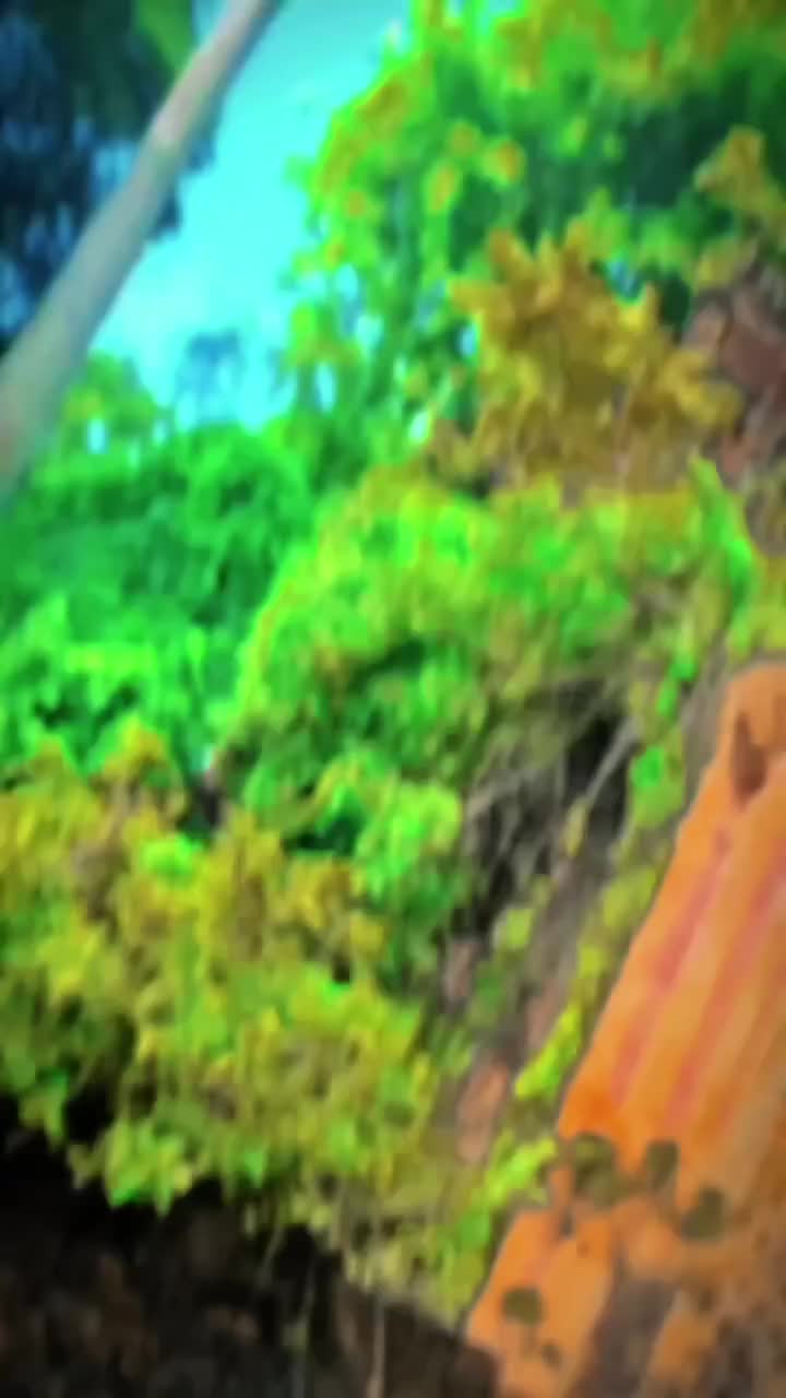 @â ïžïžððððŠðð¬ð¡àŒïžðŠð®ðµðâïž