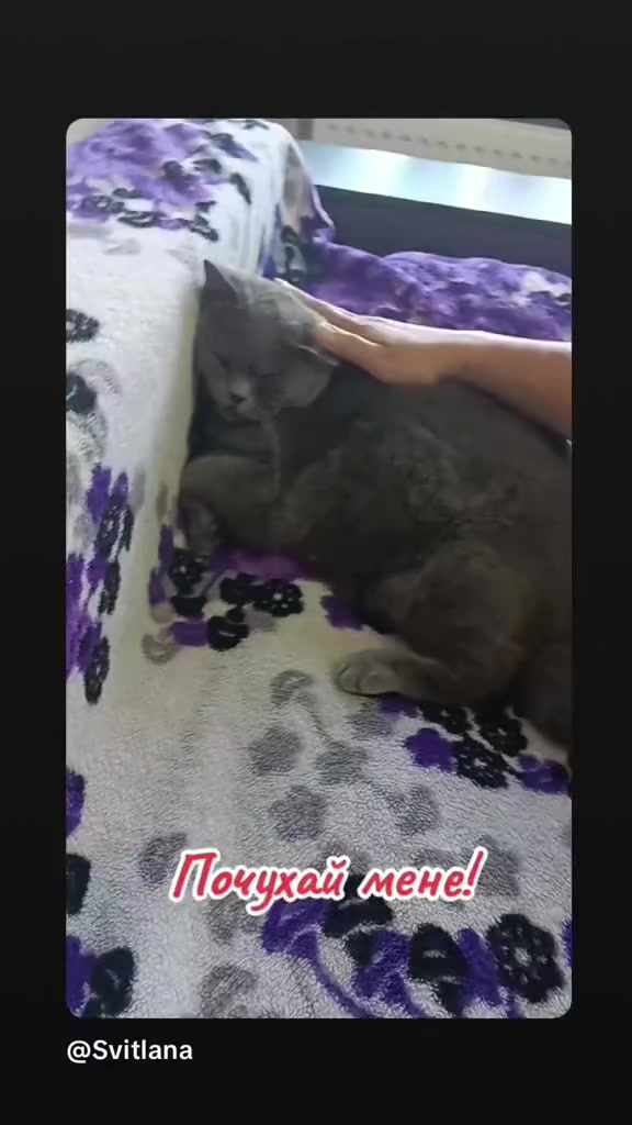 @Svitlana