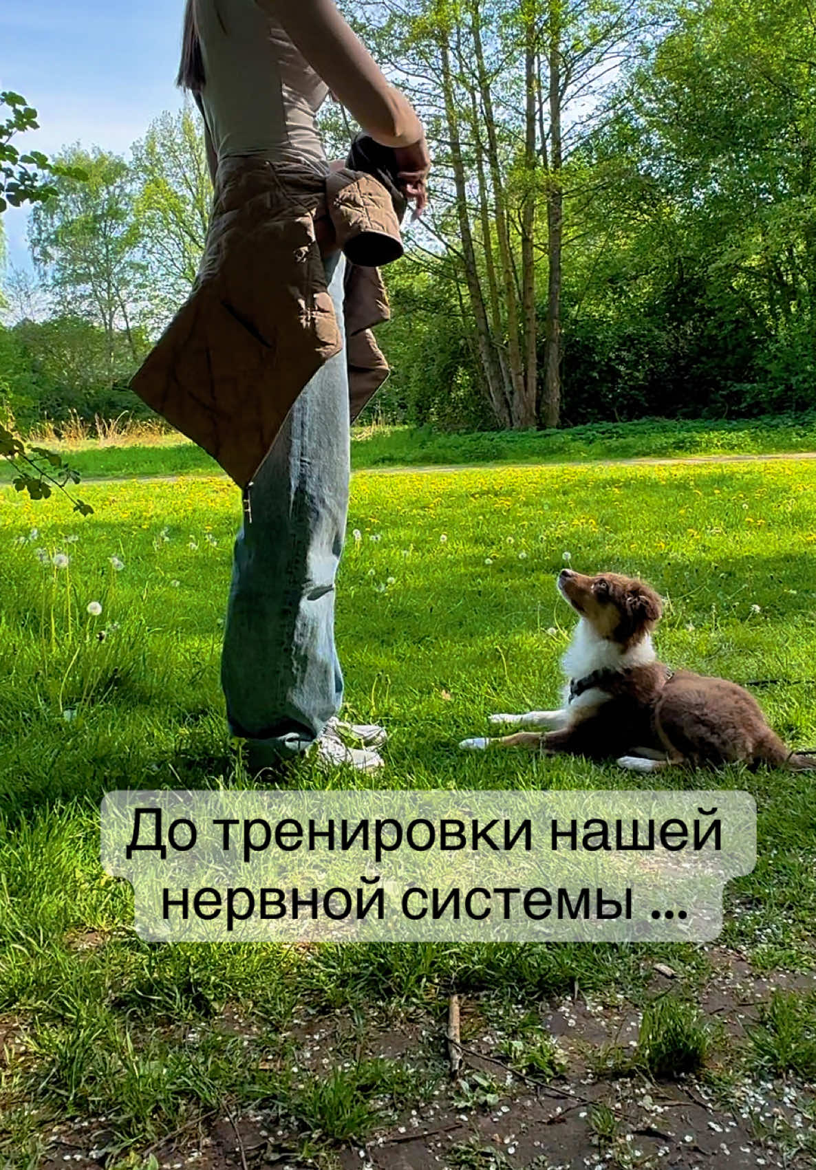 @❤️🐶Elena & Hundewelt🐶❤️