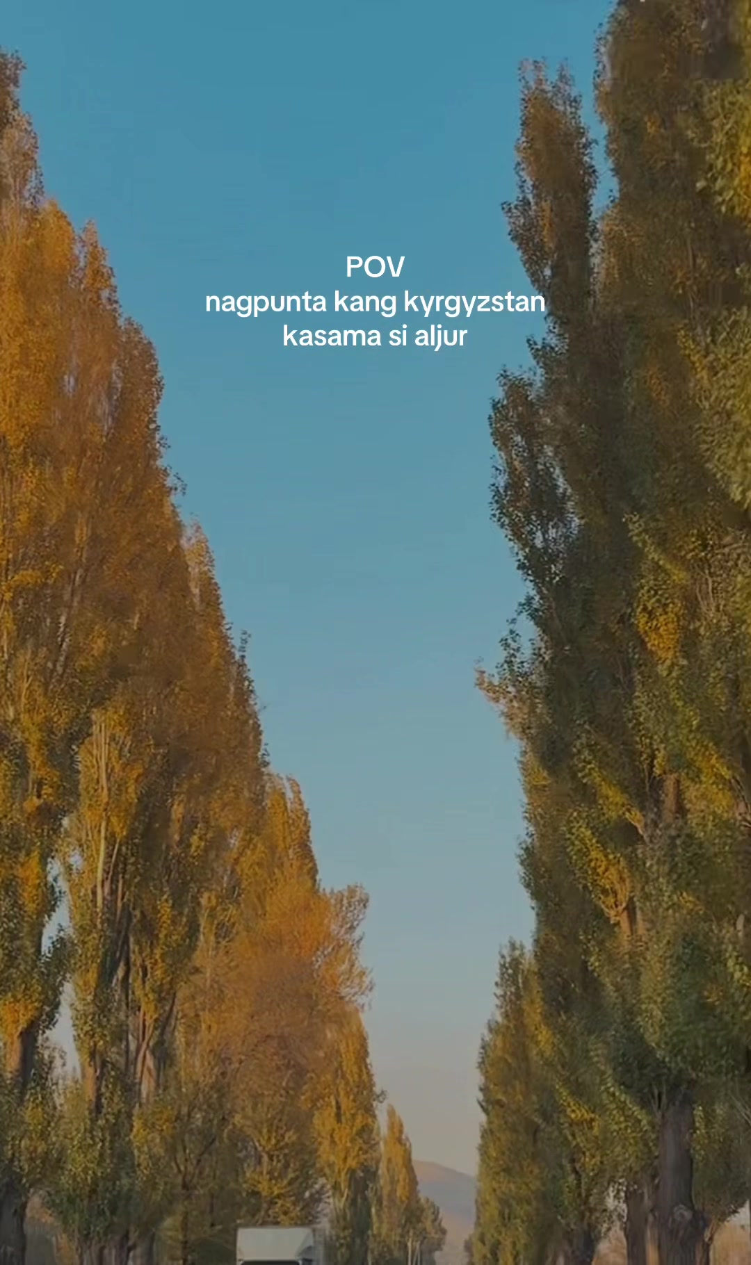 @mamon