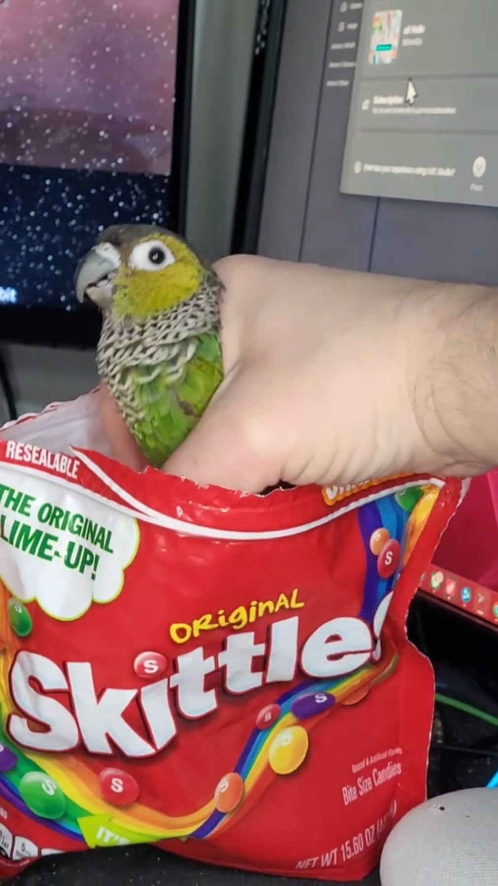 @QbertBird🦜👀