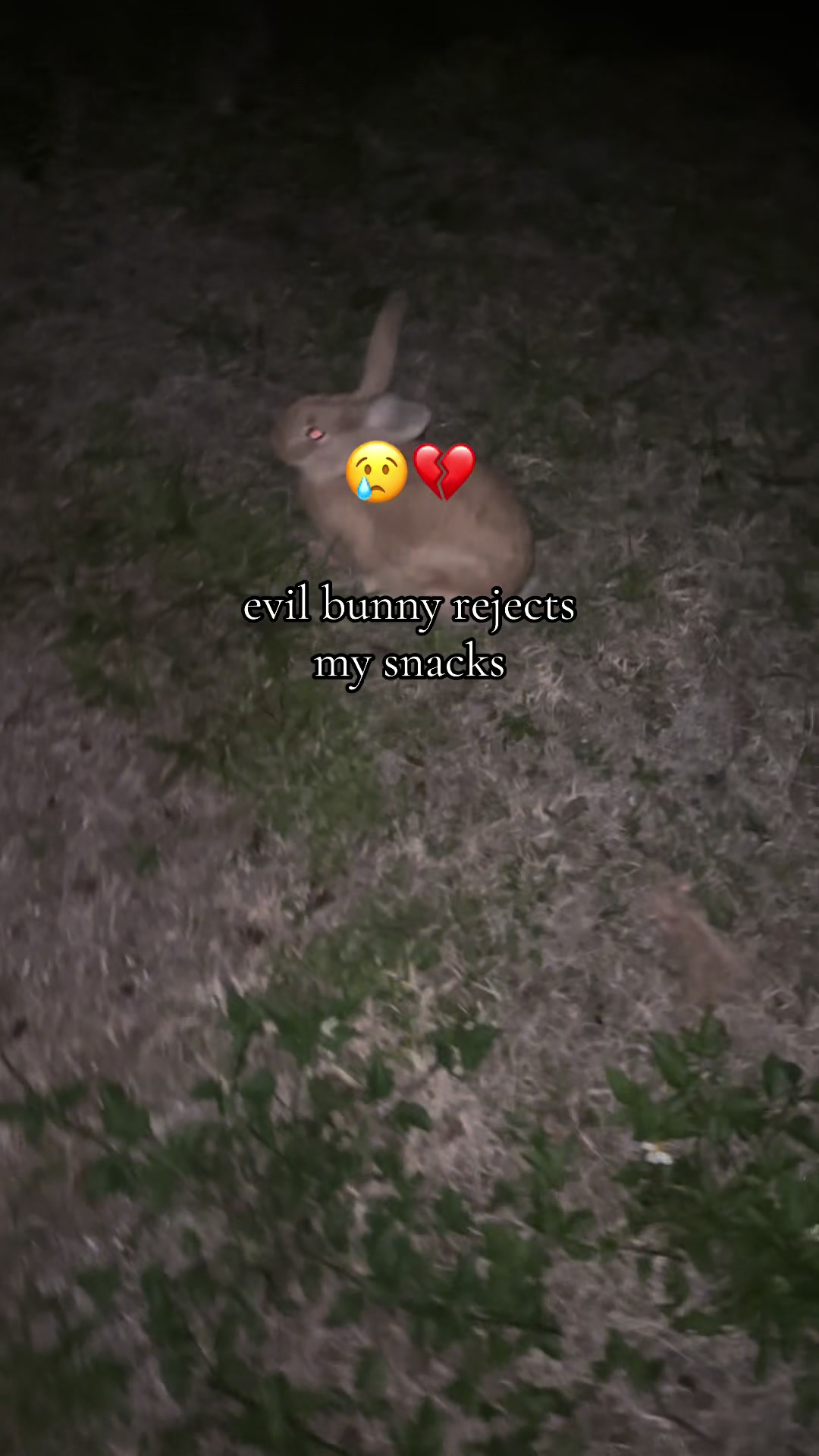 @ben dover