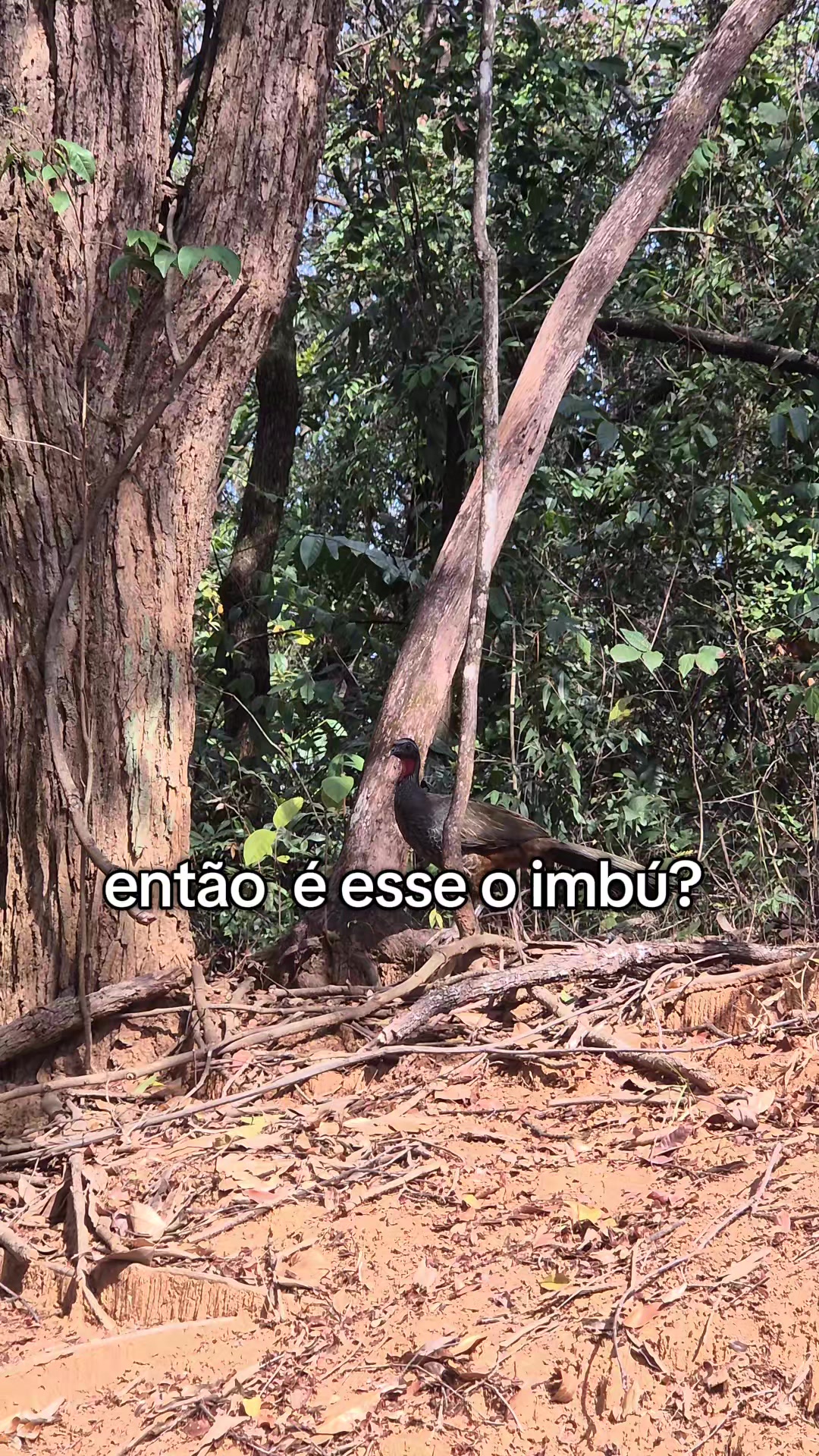 @maxb