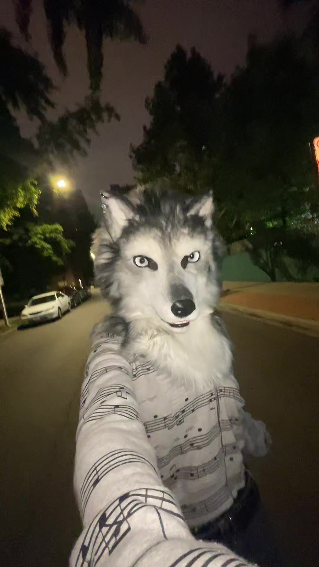 @derpykitten