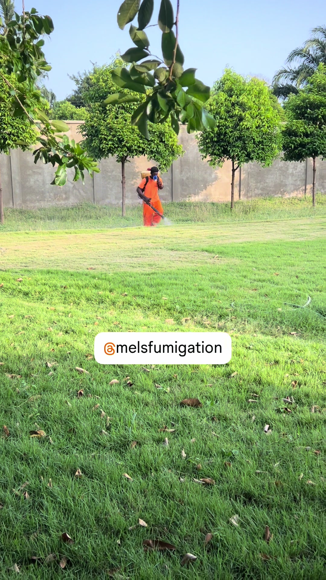 @melsfumigation