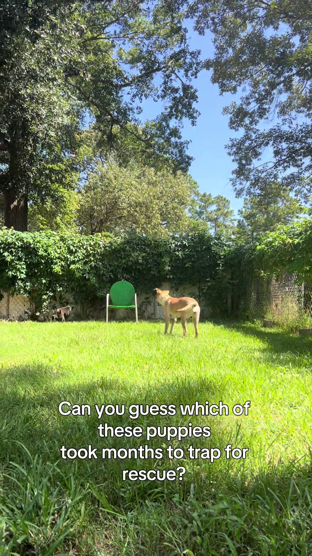 @Corridor Rescue Inc.