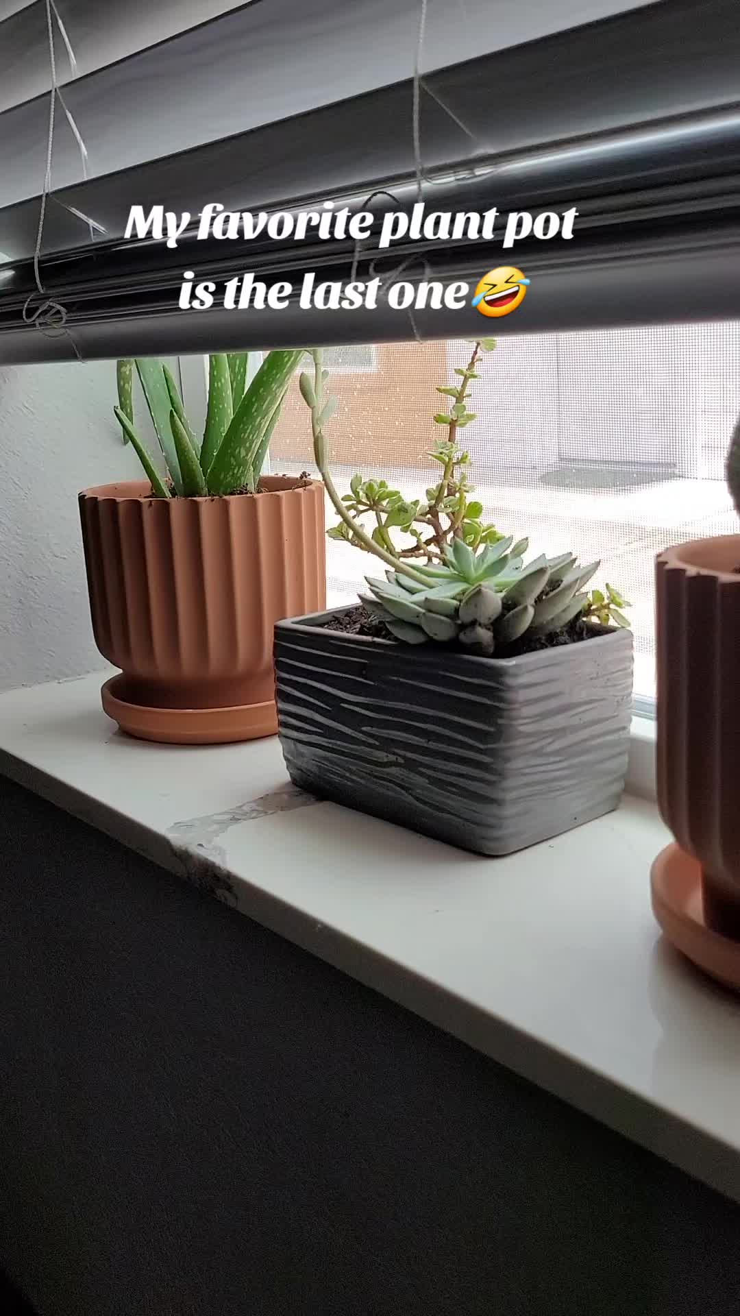 @DandelionInTheWind