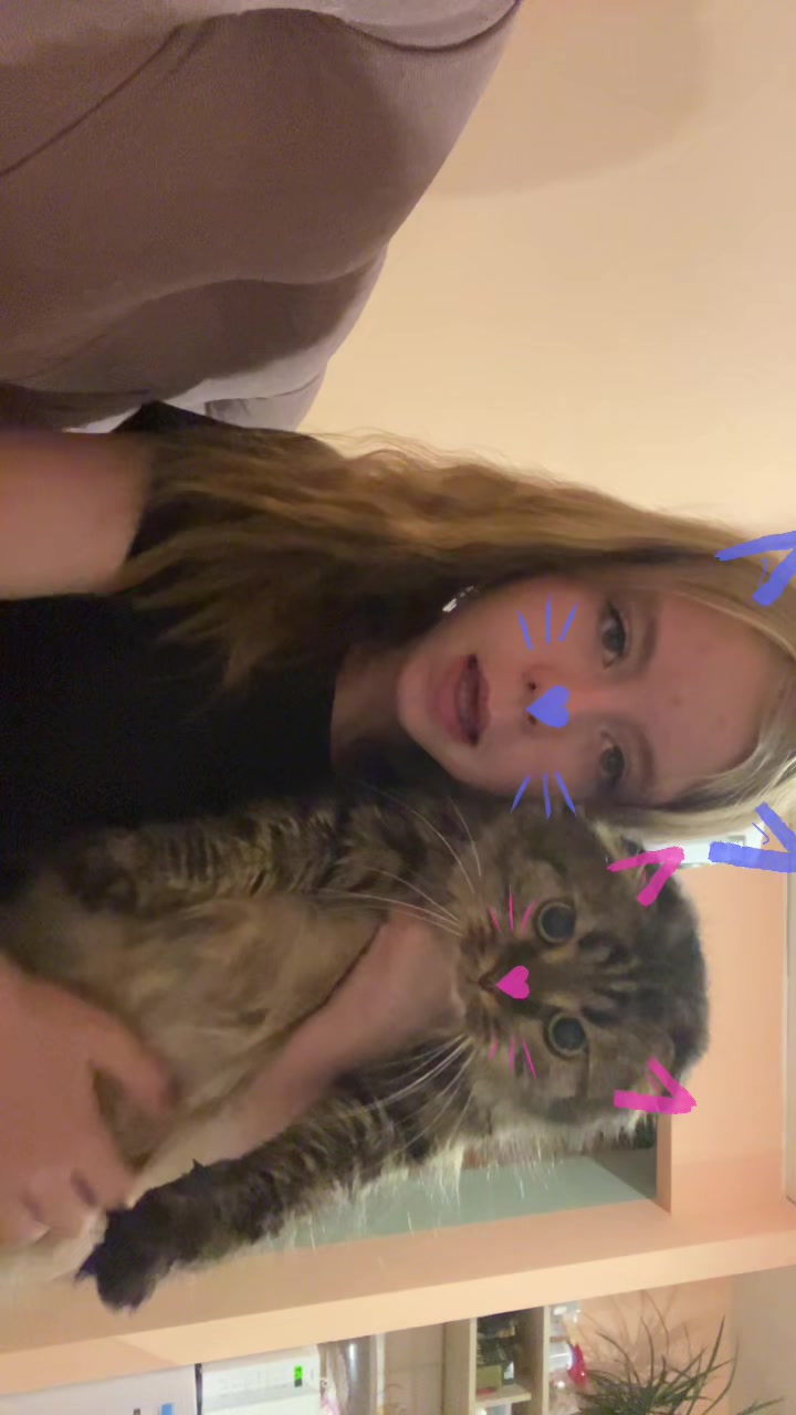 @vikqwx🐈