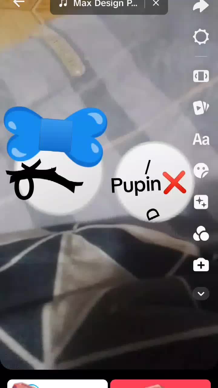 @pupien