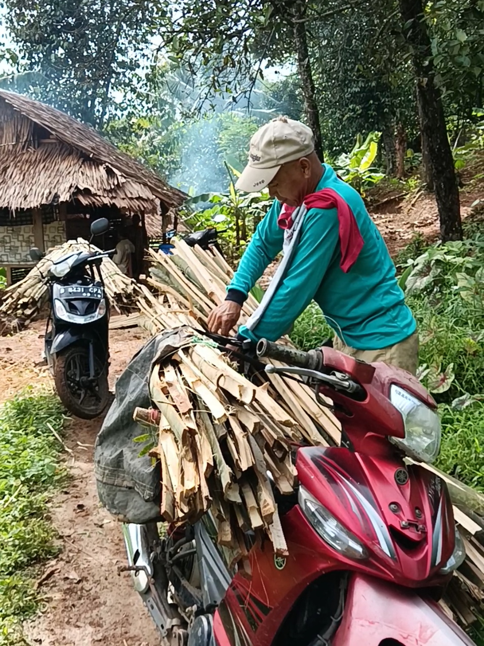 @aneka.bibit.pepaya