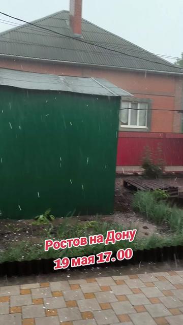@Светлана Толстикова
