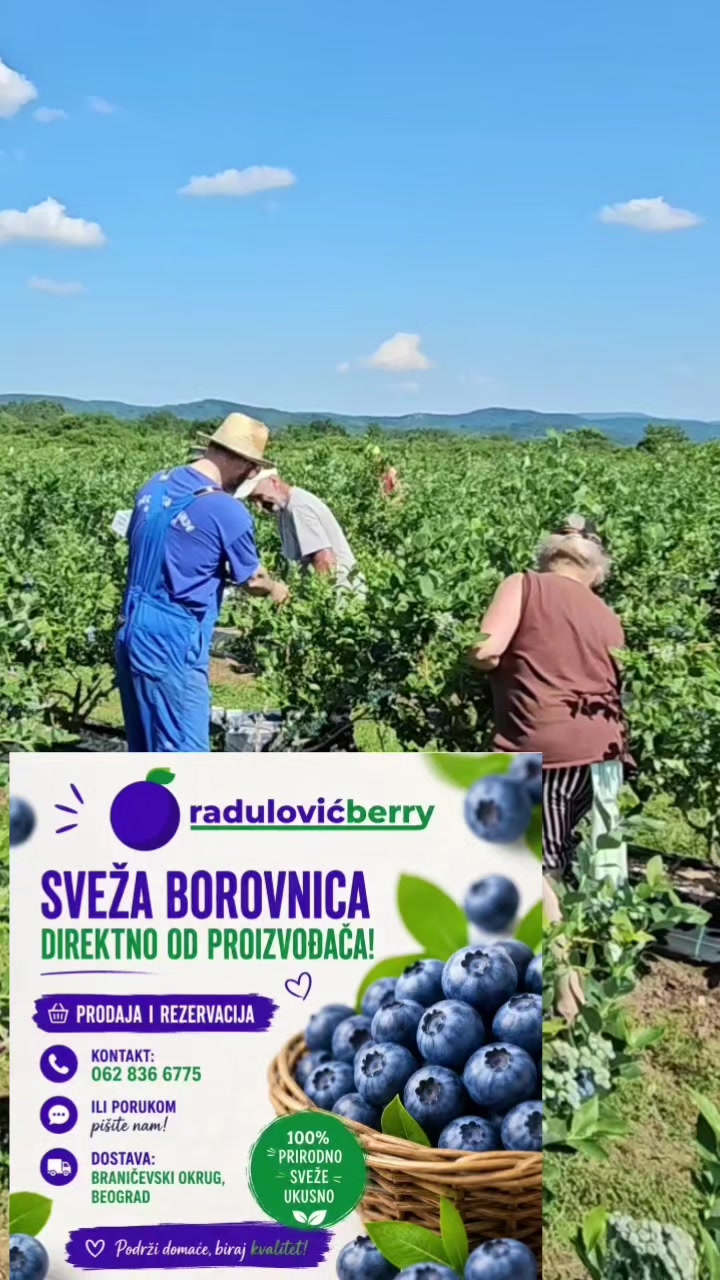 @čiča Zlaja