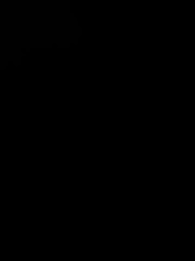 @Elegancia Fotográfica