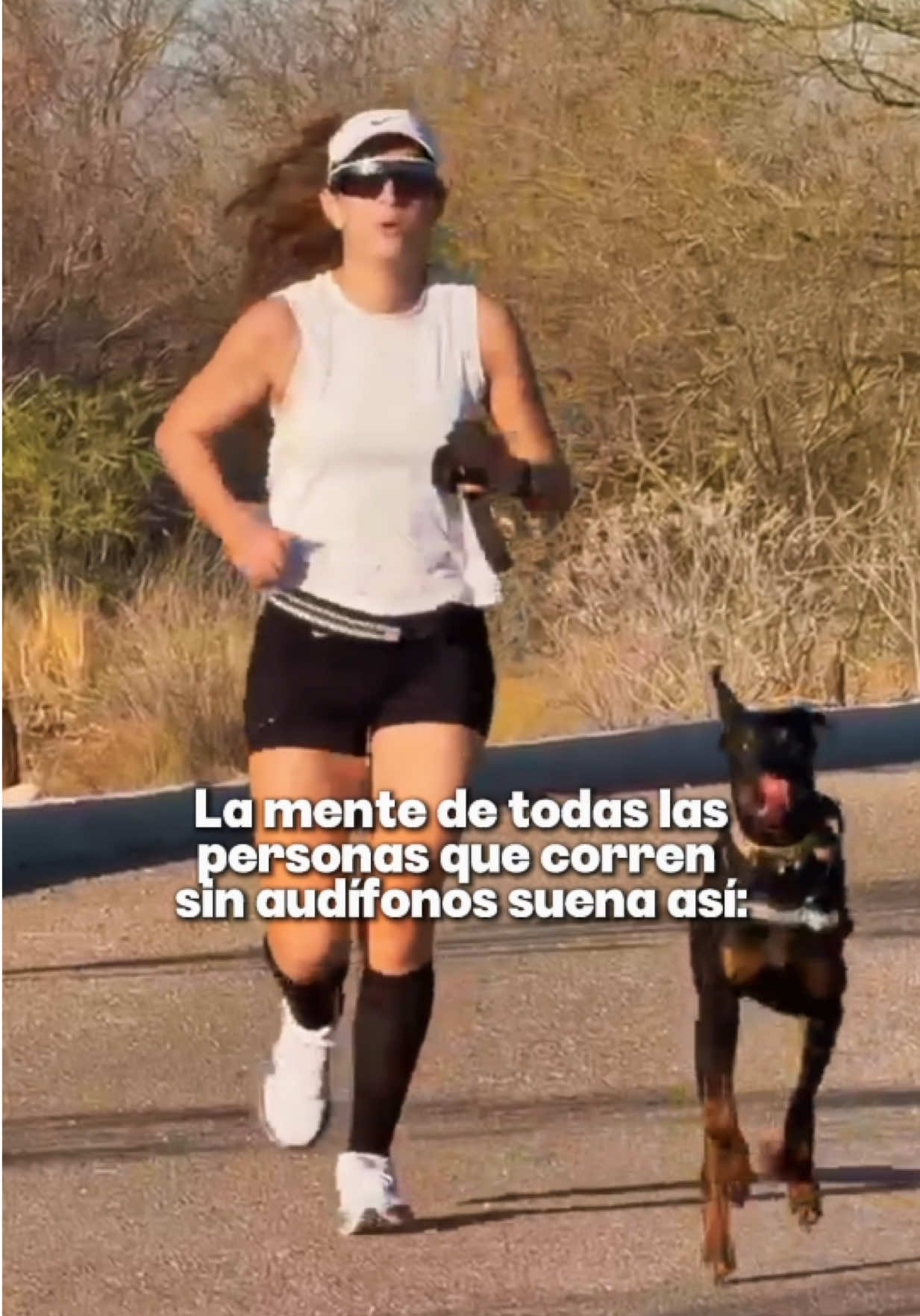 @Paulina Ocaña Encinas