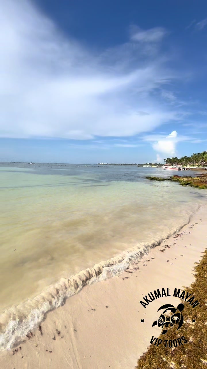 @akumal mayan vip tours
