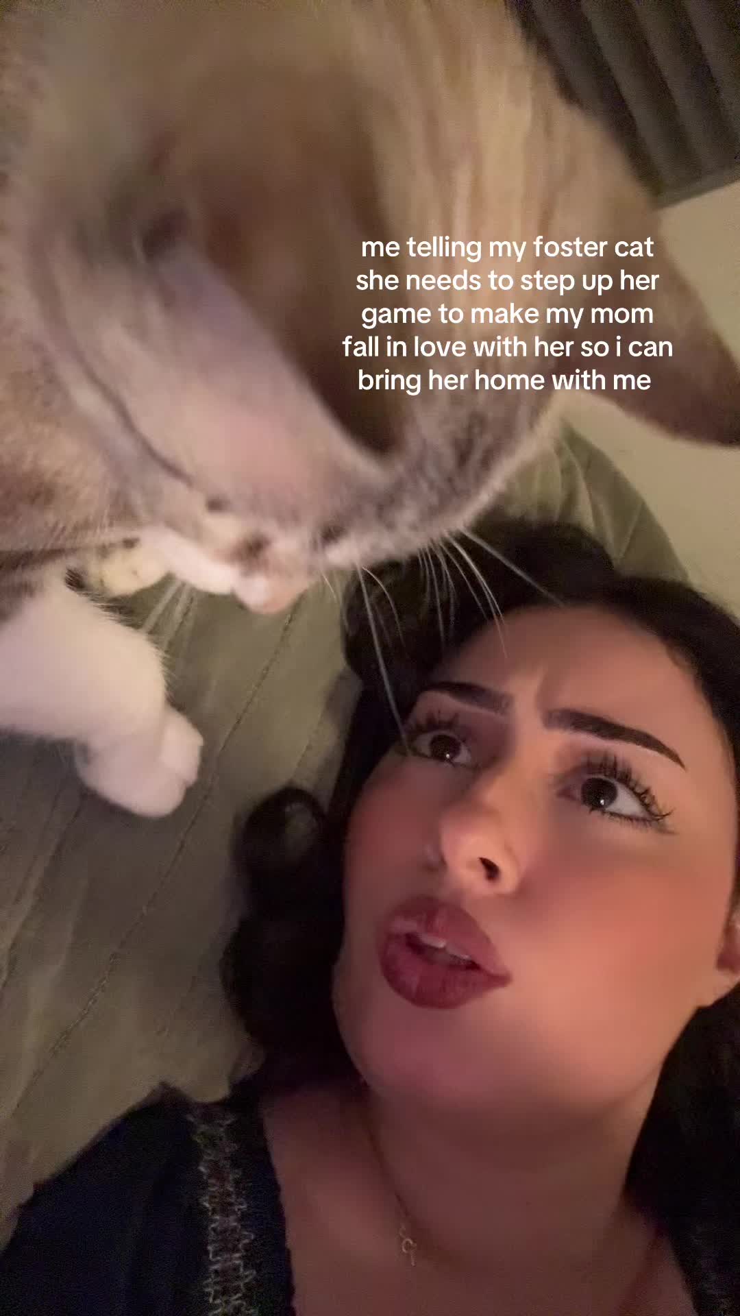 @kati ꩜ 🦋🕊🦔🪷🧚🏼&zwj;♀️