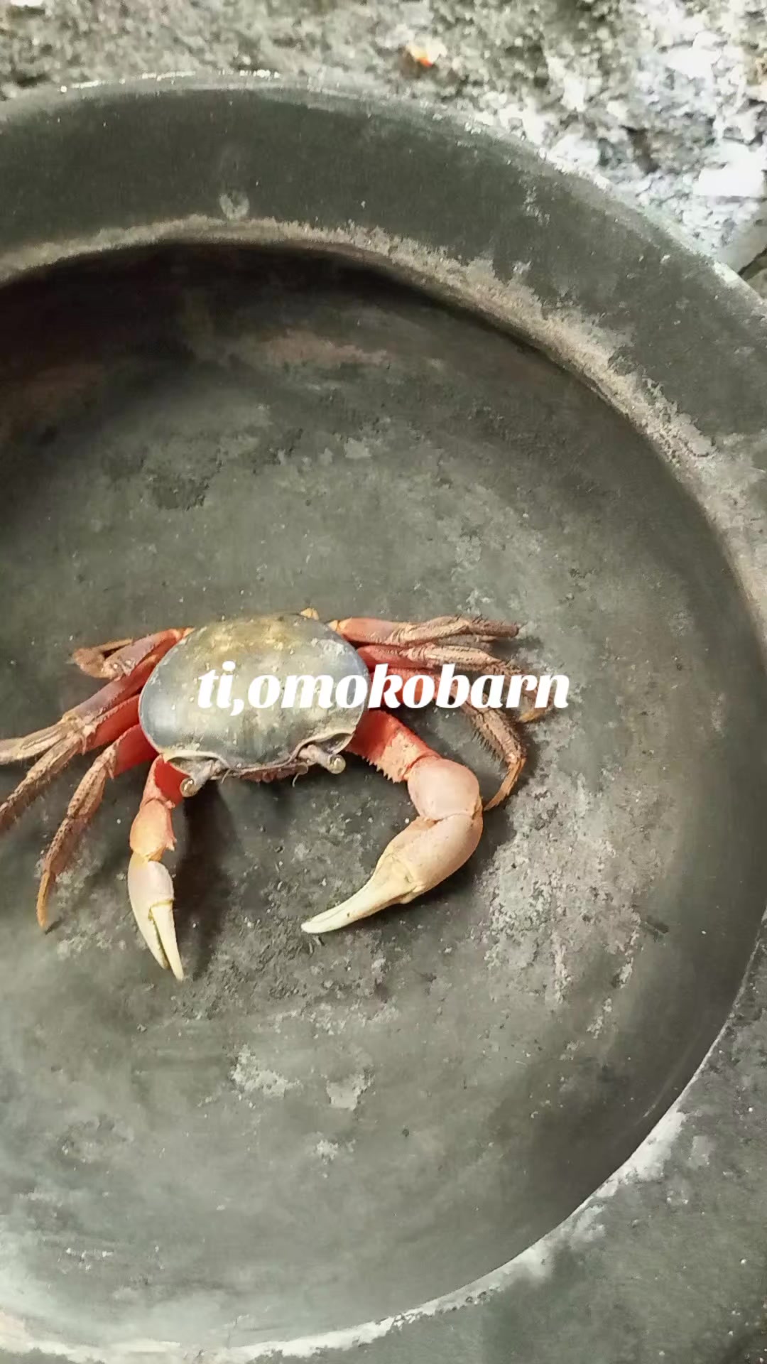 @Dr Omltognu Ogbomnso