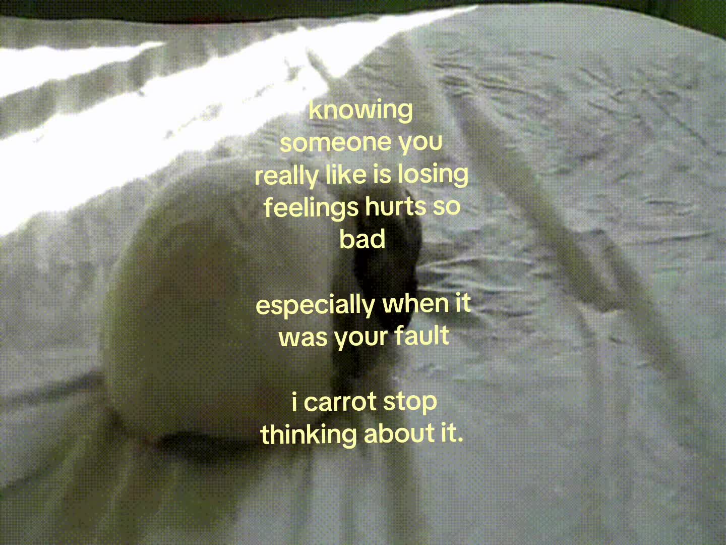 @❀