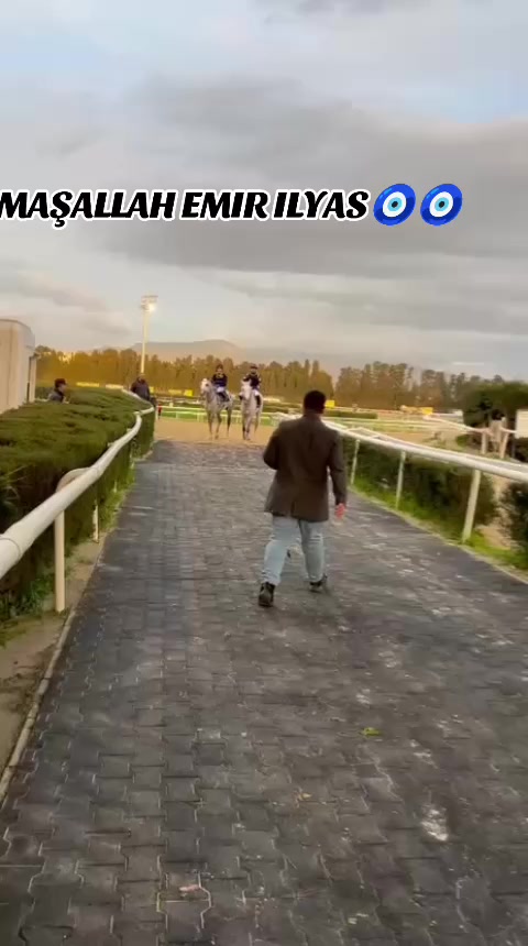 @adlbydn6