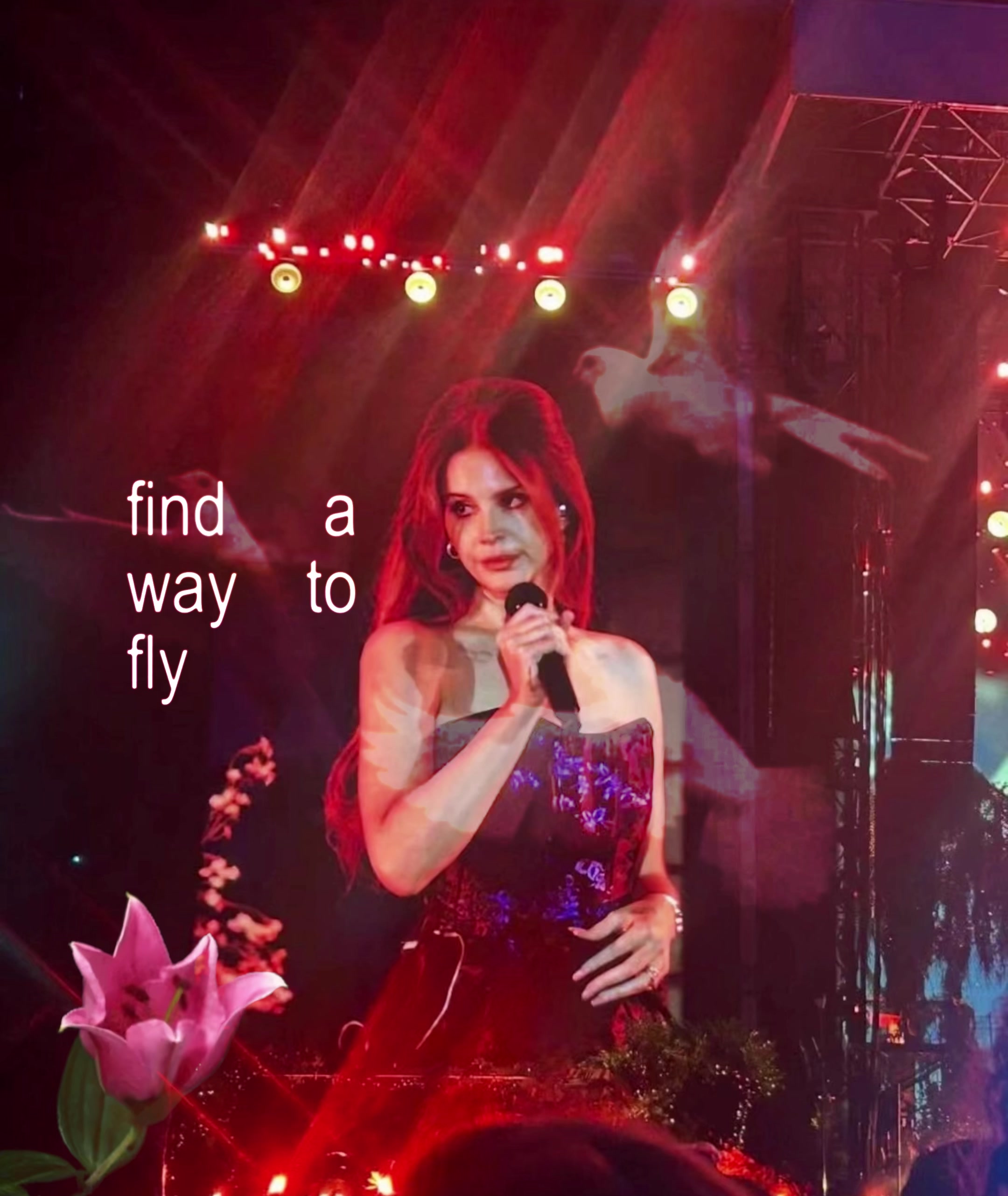 @du1mmy ‹𝟹