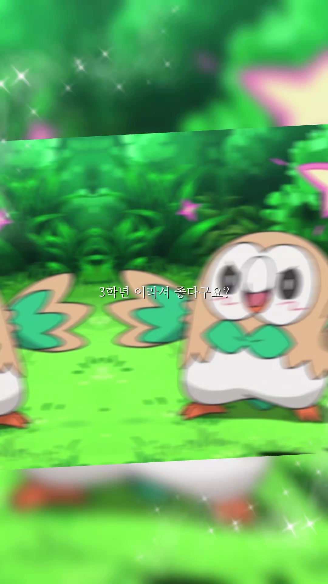 @샤무디