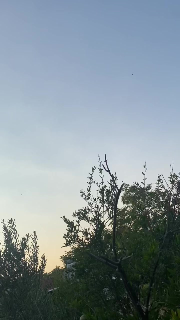 @Miro dolapçıları