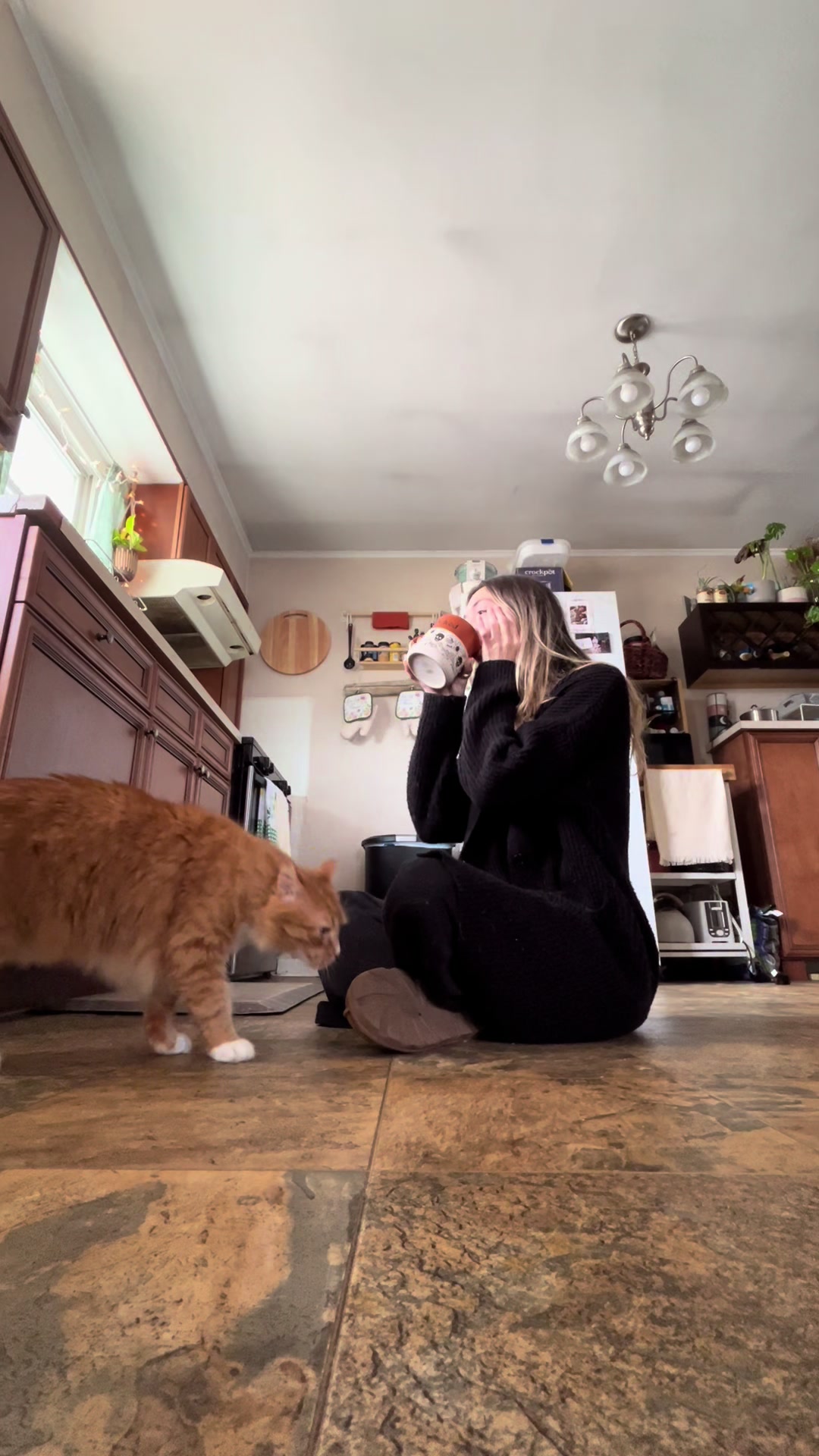 @cat